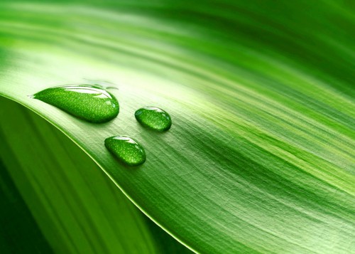 Tennant ec-H2O NanoClean technology minimizes environment impact Tennant ec-H2O NanoClean technology minimizes environment impact